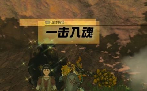 王国之泪一击入魂任务攻略(国王之泪一击入魂任务)