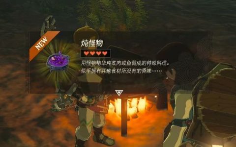 王国之泪炖怪物怎么做(王国之泪怪物防御怎么破)