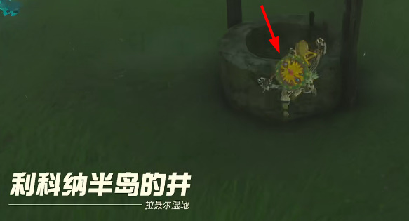 王国之泪炖怪物怎么做(王国之泪怪物防御怎么破)插图2