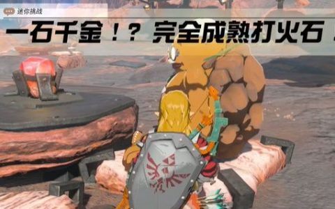 塞尔达传说一石千金攻略(塞尔达传说攻略宝典)