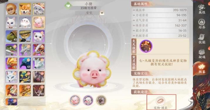 天龙八部2飞龙战天宠物小猪怎么获得(天龙八部2飞龙战天宠物怎么寄售)插图1