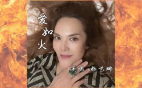 十大网红蹦迪曲排行榜(中国蹦迪神曲十大排行)