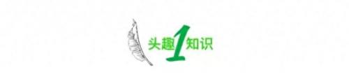 世界最危险便利店排名前十(世界十大危险的地方)插图