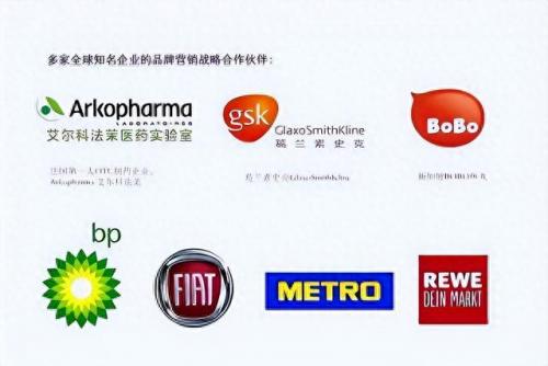 国际营销策划公司排名前十(外国有哪些营销策划公司)插图2