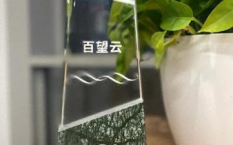 大数据治理公司排名前十(大数据治理公司排名)