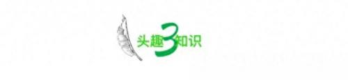 世界最危险便利店排名前十(世界十大危险的地方)插图8