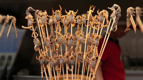 河南蒸菜十大碗排行榜(河南正宗蒸菜教程)插图5