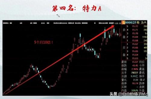 股市十大最牛股票排行榜(最牛的十大股票)插图6
