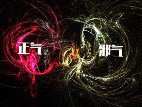 增强免疫力的草药排名前十(提高免疫力最佳中草药)插图
