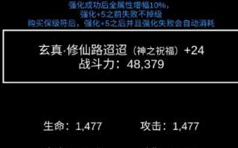 不正经的骗肝强化石怎么用(肝强化石)
