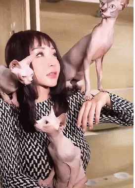 中国十大美甲大师排行榜(中国最顶级的美甲师)插图6