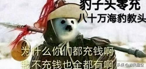 火炬之光好玩吗(火炬之光3)插图5