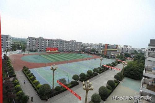 成都公立技校排名前十小学(茶店小学在成都排名)插图2