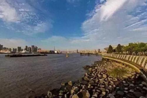 宜阳北欧室内门排名前十(宜阳室内门)插图6