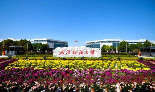 武昌正规大专院校排名前十(武汉市公立大专院校推荐)插图18