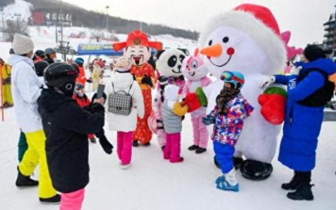 冰上运动实力排名前十(冰雪运动省队排名前十)