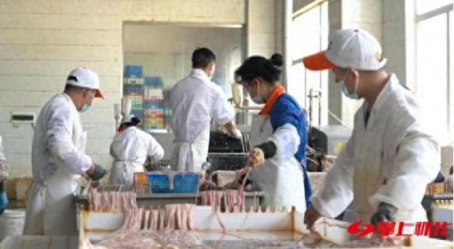 广西小肠加工厂排名前十(猪小肠加工厂利润)插图