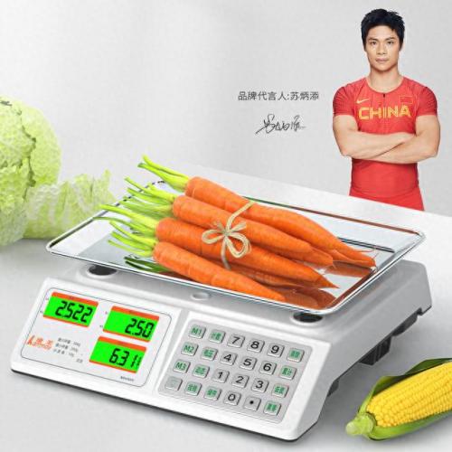 国产电子秤品牌排名前十(中国十大品牌前10名的电子秤)插图3