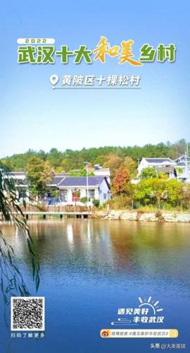 武汉乡村旅游区排名前十(武汉民宿排名前十)插图2