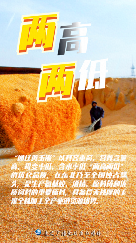 内蒙古玉米品牌排名前十(内蒙古燕麦片的品牌)插图2