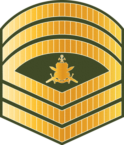 马尔代夫军事力量排名前十(马尔代夫军事领导机构)插图19