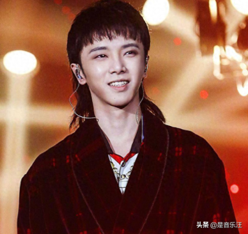 十大二线明星排行榜(目前国内一二三线明星)插图3