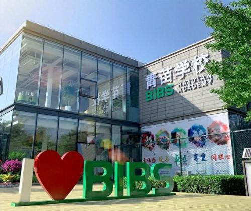 北京对外国际学校排名前十(北京国际学校排名榜前十名)插图