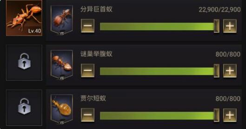小小蚁国兵蚁怎么培养(《小小蚁国》兵蚁培养方法攻略)插图