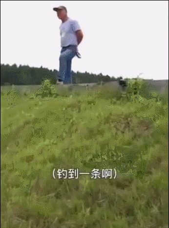 抖音十大鱼线排行榜(口碑最好十大鱼线)插图2