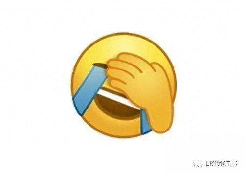 辽宁网购大数据排名前十(2017年网购平台排名)插图2