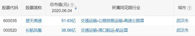 武汉自贸区企业排名前十(武汉自贸区开公司)插图3