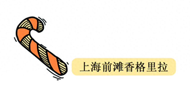 五星级酒店大餐排名前十(五星级酒店餐厅简介)插图18