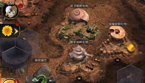 小小蚁国兵蚁怎么培养(《小小蚁国》兵蚁培养方法攻略)插图1