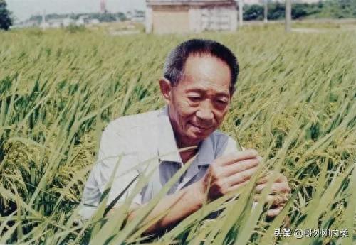 华人最伟大十大巨星排行榜(中国最伟大的十大巨星)插图4