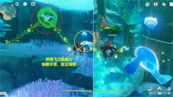 呜呜葡萄(原神樱桃任务怎么做)插图4