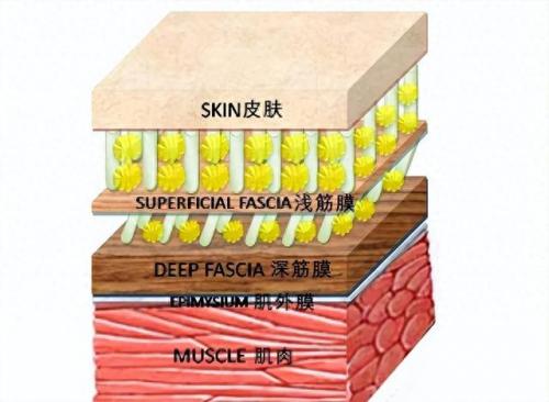 汽车高压水枪十大排行榜(口碑最好的高压水枪)插图1
