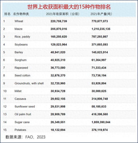 玉米种植面积全球排名前十(玉米品种种植面积排行)插图1