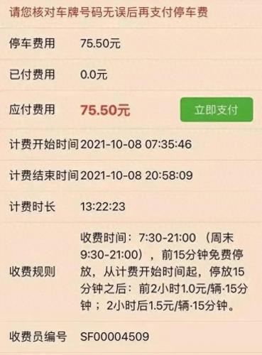 广西十大停车场排行榜最新(广西最大停车场在哪)插图3