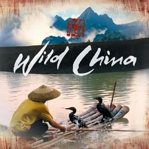 国际十大高分纪录片排行榜(十大高分纪录片第一集)插图7