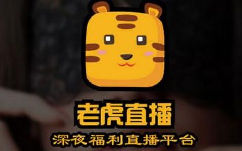 十大黄台app排行榜5.0(十大冷门软件app)