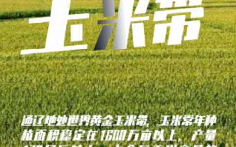 内蒙古玉米品牌排名前十(内蒙古燕麦片的品牌)