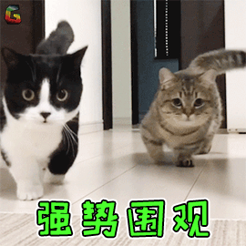 孝感粉丝排名榜前十(孝感谁粉丝最多)插图6