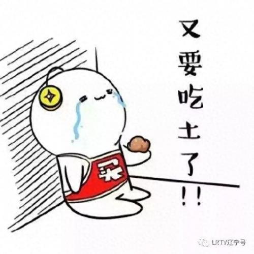 辽宁网购大数据排名前十(2017年网购平台排名)插图18