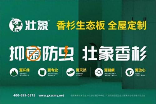十大板材国际品牌排行榜(板材的十大品牌有哪些)插图9