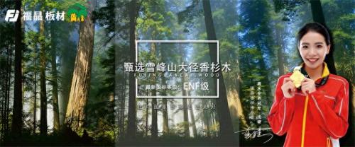 十大板材国际品牌排行榜(板材的十大品牌有哪些)插图11
