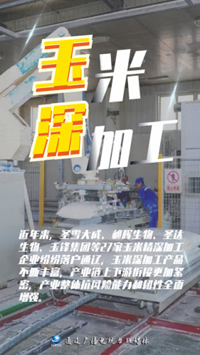 内蒙古玉米品牌排名前十(内蒙古燕麦片的品牌)插图4