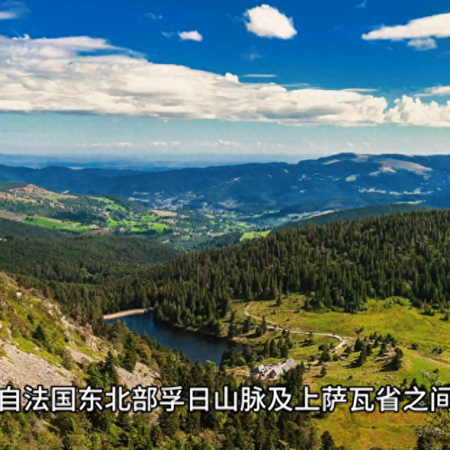 十大癫狂奶酪排行榜最新(六种人不宜吃奶酪)插图1