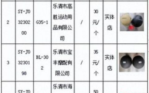 电动车头盔国外排名前十(电动车头盔国内名牌)