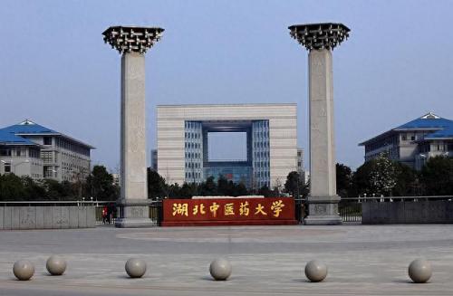 武昌正规大专院校排名前十(武汉市公立大专院校推荐)插图8