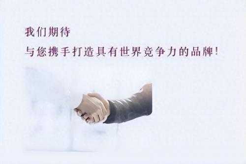 国际营销策划公司排名前十(外国有哪些营销策划公司)插图11